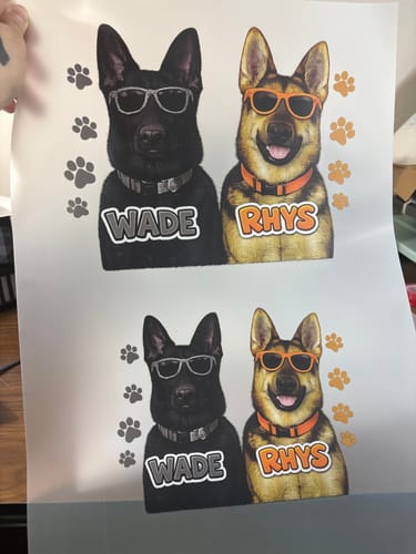 Reviewer holding a sheet of DTF Transfer Film with two vibrant printed designs of German Shepherds in sunglasses.