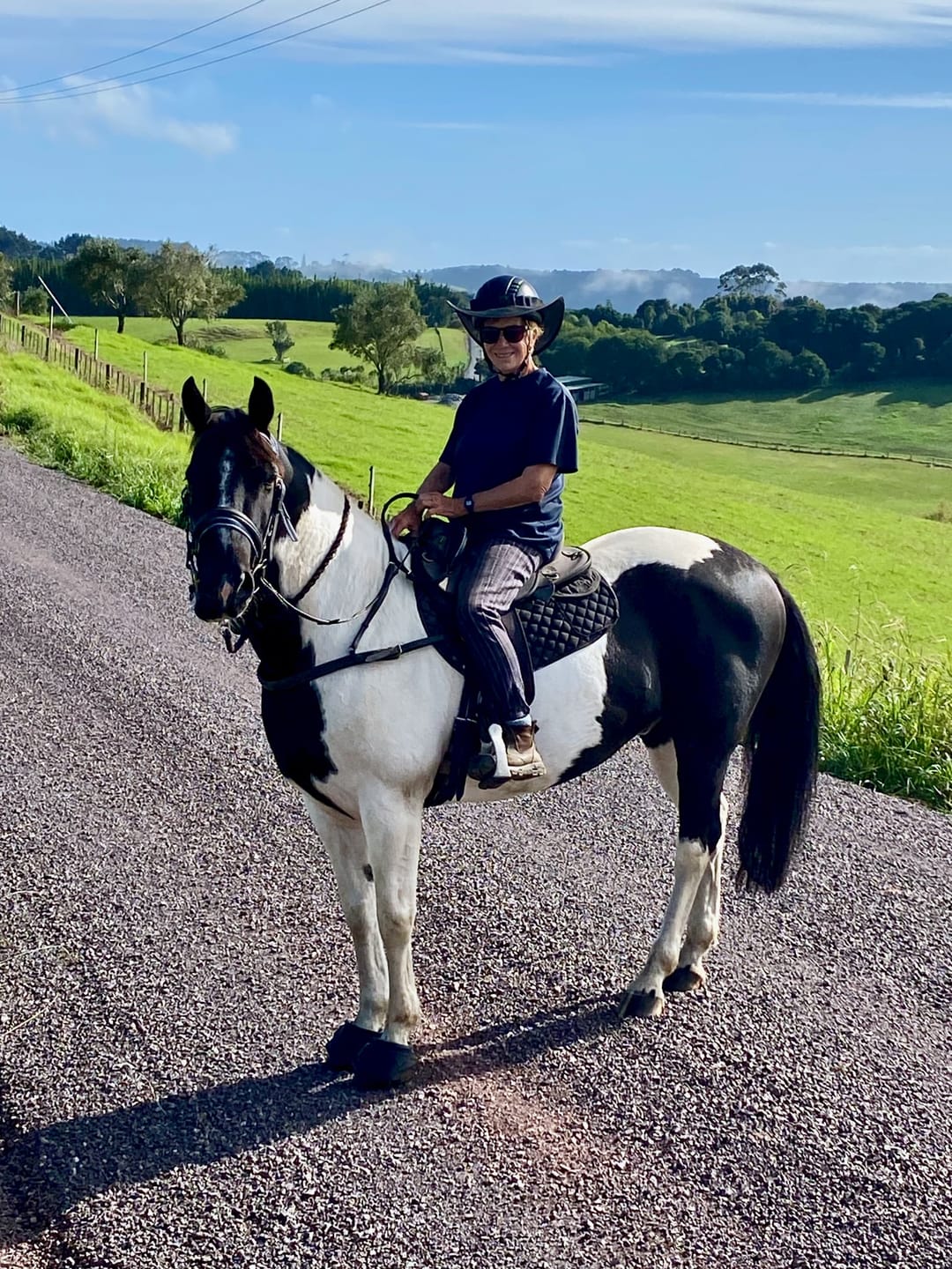 Customer photo review of BetaVet Steady Neddy