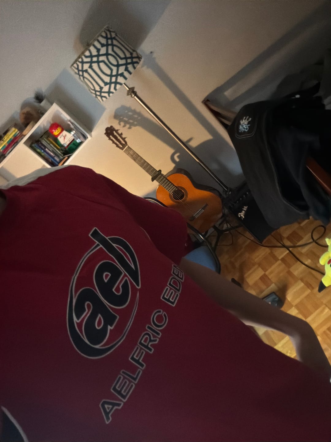 Customer photo review of Aelfric Eden Color Block Speedway Tee