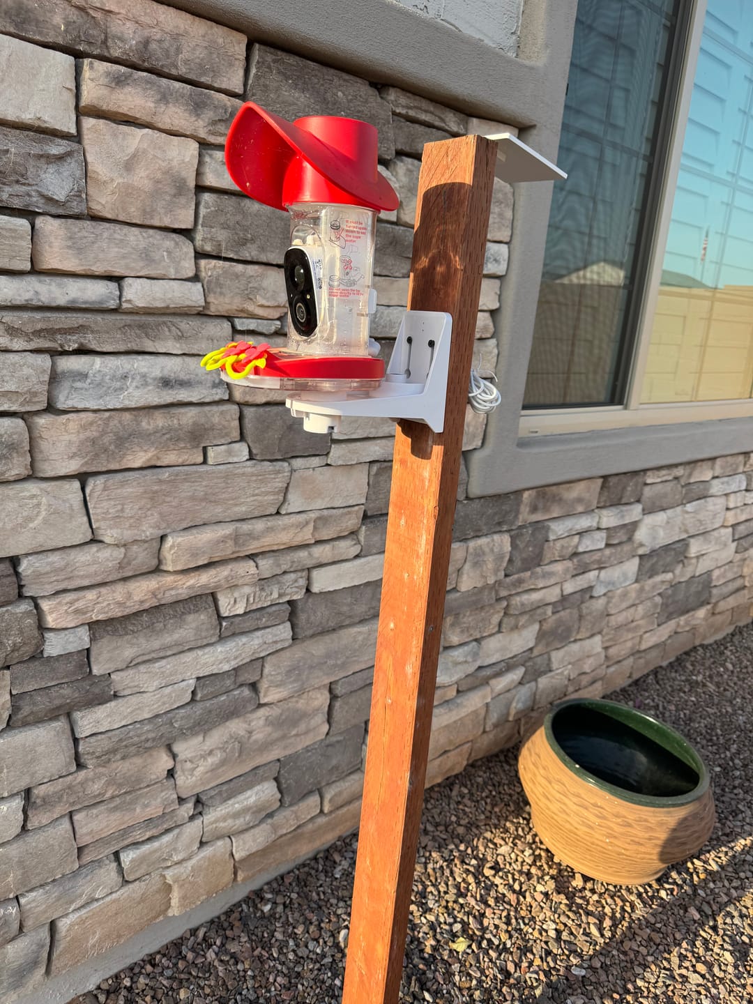 Customer photo review of BirdSnap Smart Hummingbird Feeder with Camera
