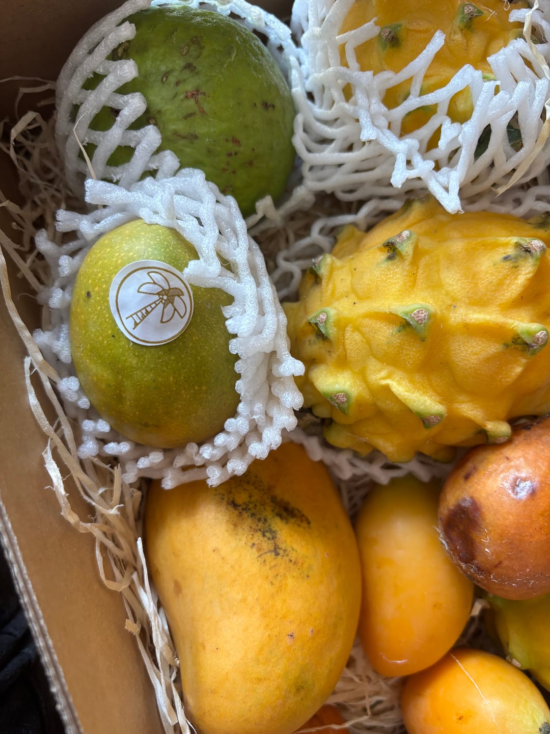 Customer photo review of Baby-Zuckermangos Sonderaktion %