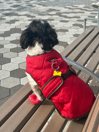 Customer photo review of Quilted Vest with Berber Fleece