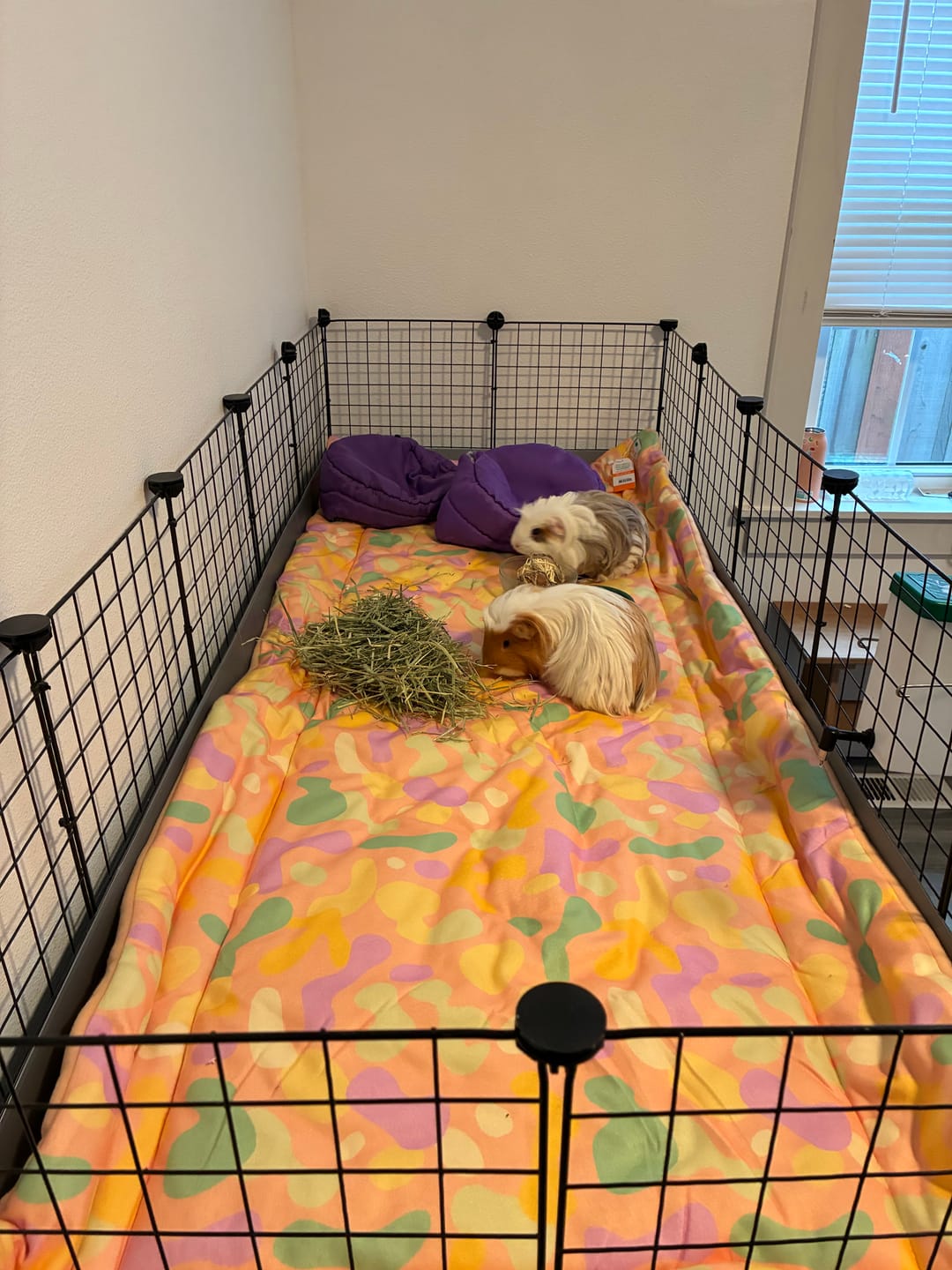 Customer photo review of Set of 2 Plush Fleece Liners | Pigcasso V2 Bundle