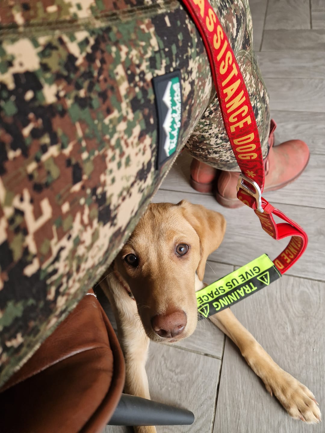 Customer photo review of Awareness Multi-Way Lead