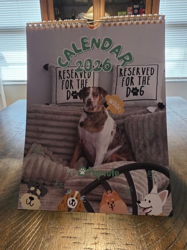 Customer photo review of Official Pupvote Cutest Pets of the Year Calendar (2026)