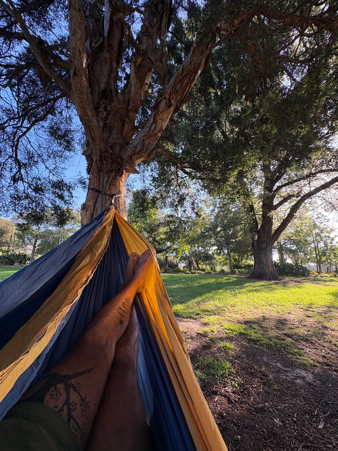 Customer photo review of Nomad Hammock with straps