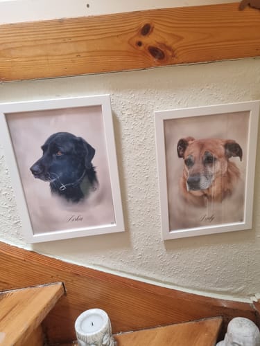 Customer photo review of Öl Pawtrait
