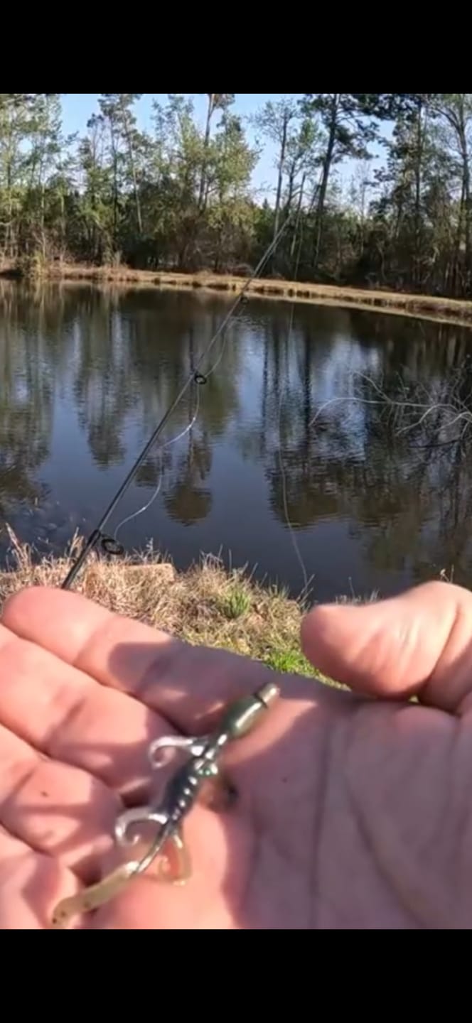 Customer photo review of 200% Sensitive Tungsten Worm Weights | Bullet Weight For Texas Rig | 2 Colors 5 Pack