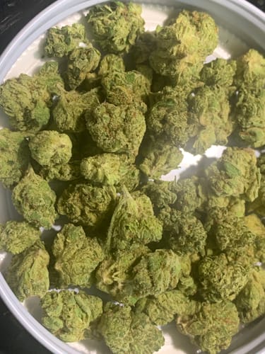 Customer photo review of Orange Creamsicle - Indoor - 14 Grams Minis - Sativa