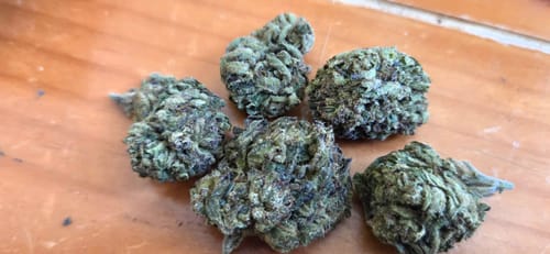 Customer photo review of Gary Payton