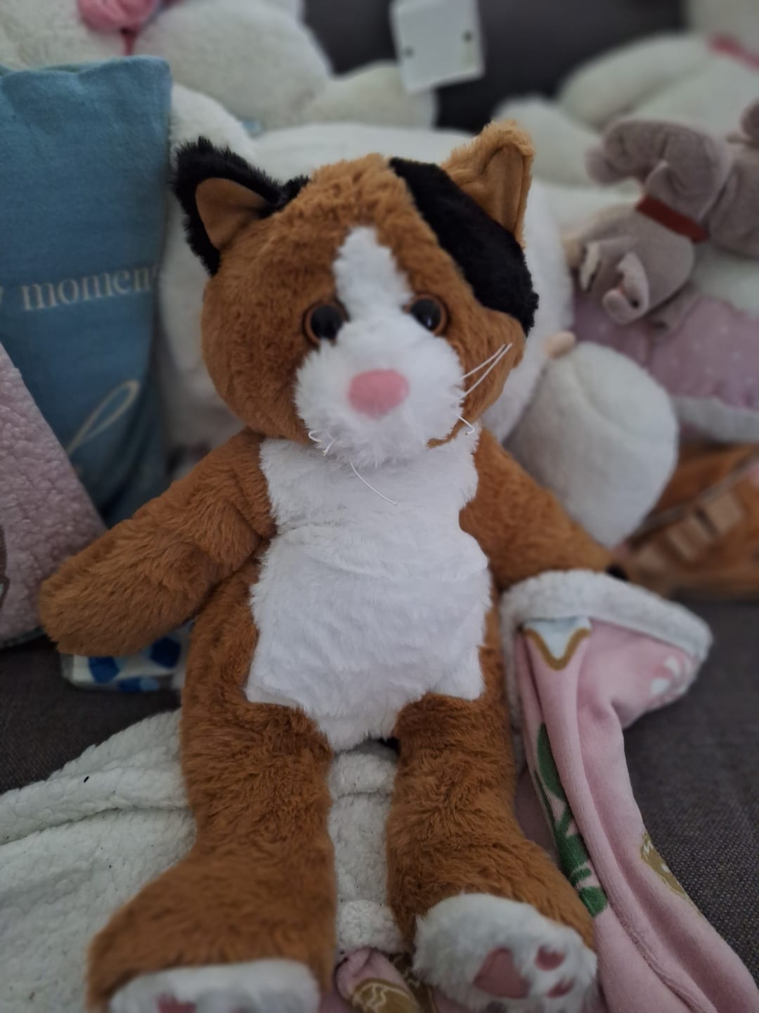 Customer photo review of Verzwaringsknuffel Kat 2,2 kg + Gratis Pittenzakje