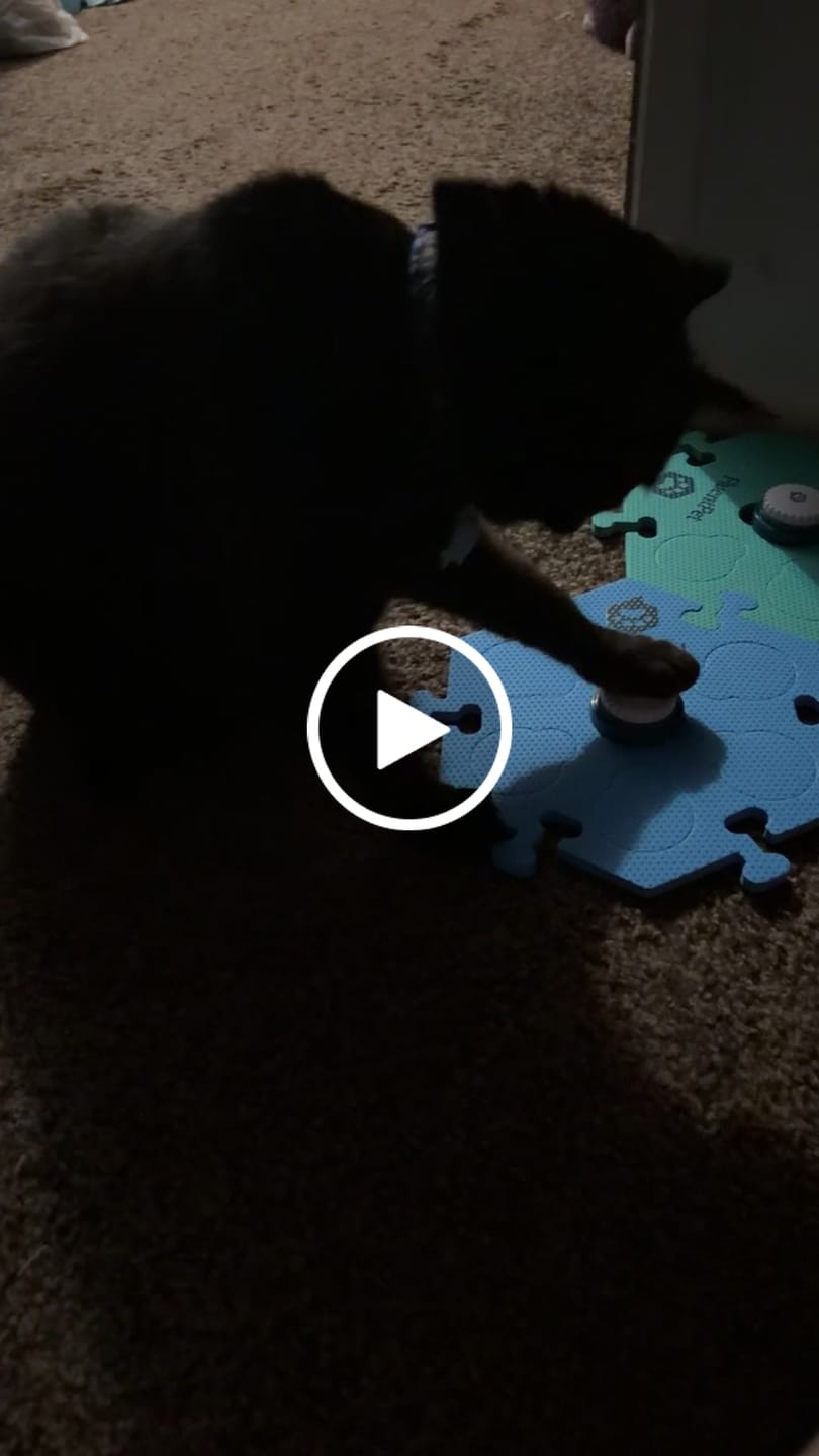 Customer video review of Key Vocab Kit Bold