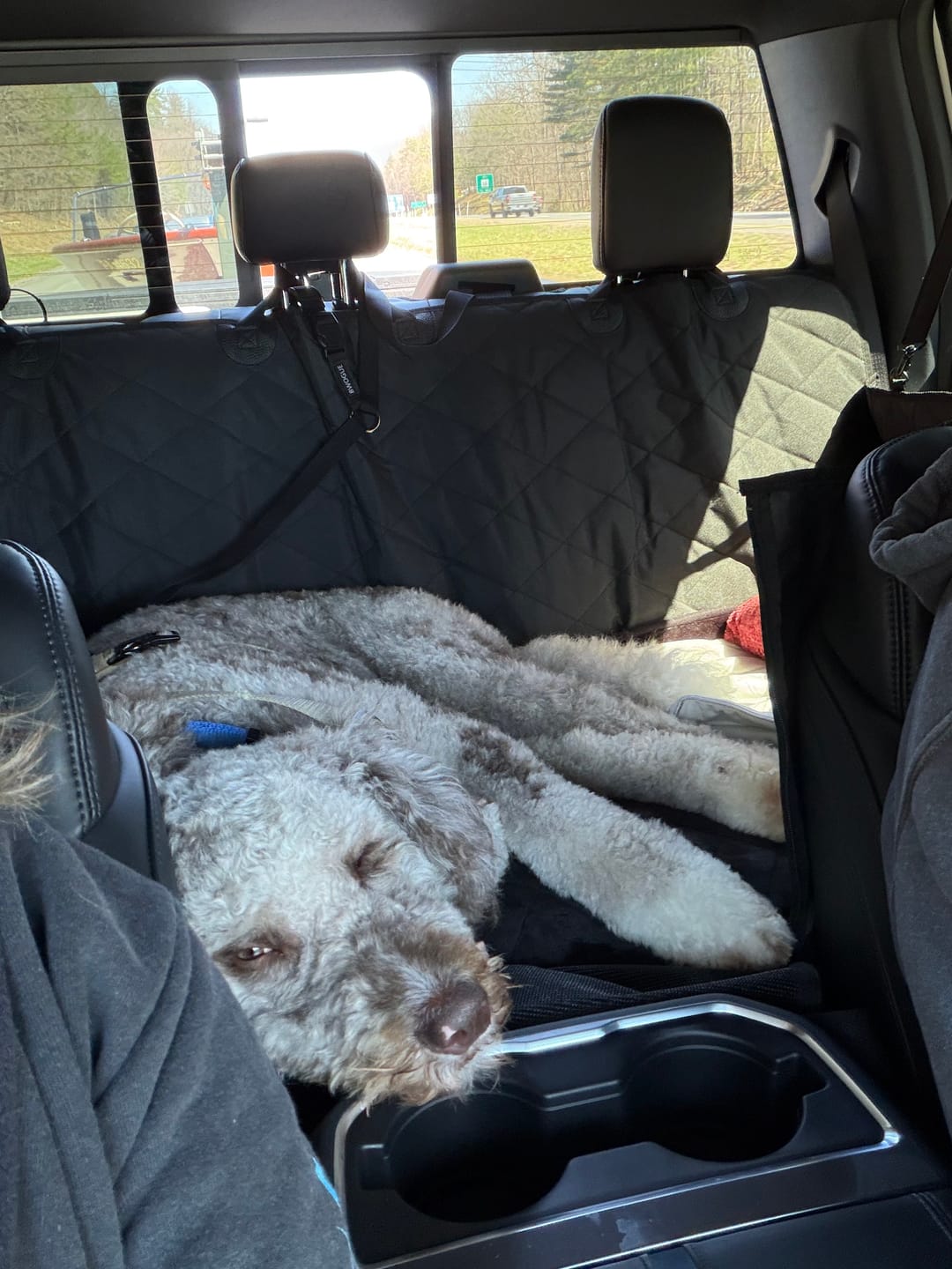 Customer photo review of 4Knines Hard Bottom Extender Car Seat Cover for Dogs - XL