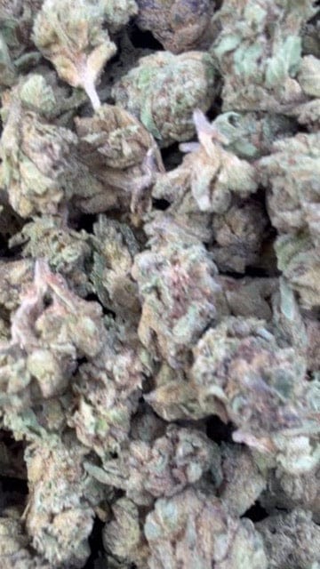 Customer photo review of Space Runtz - Bulk - Hybrid