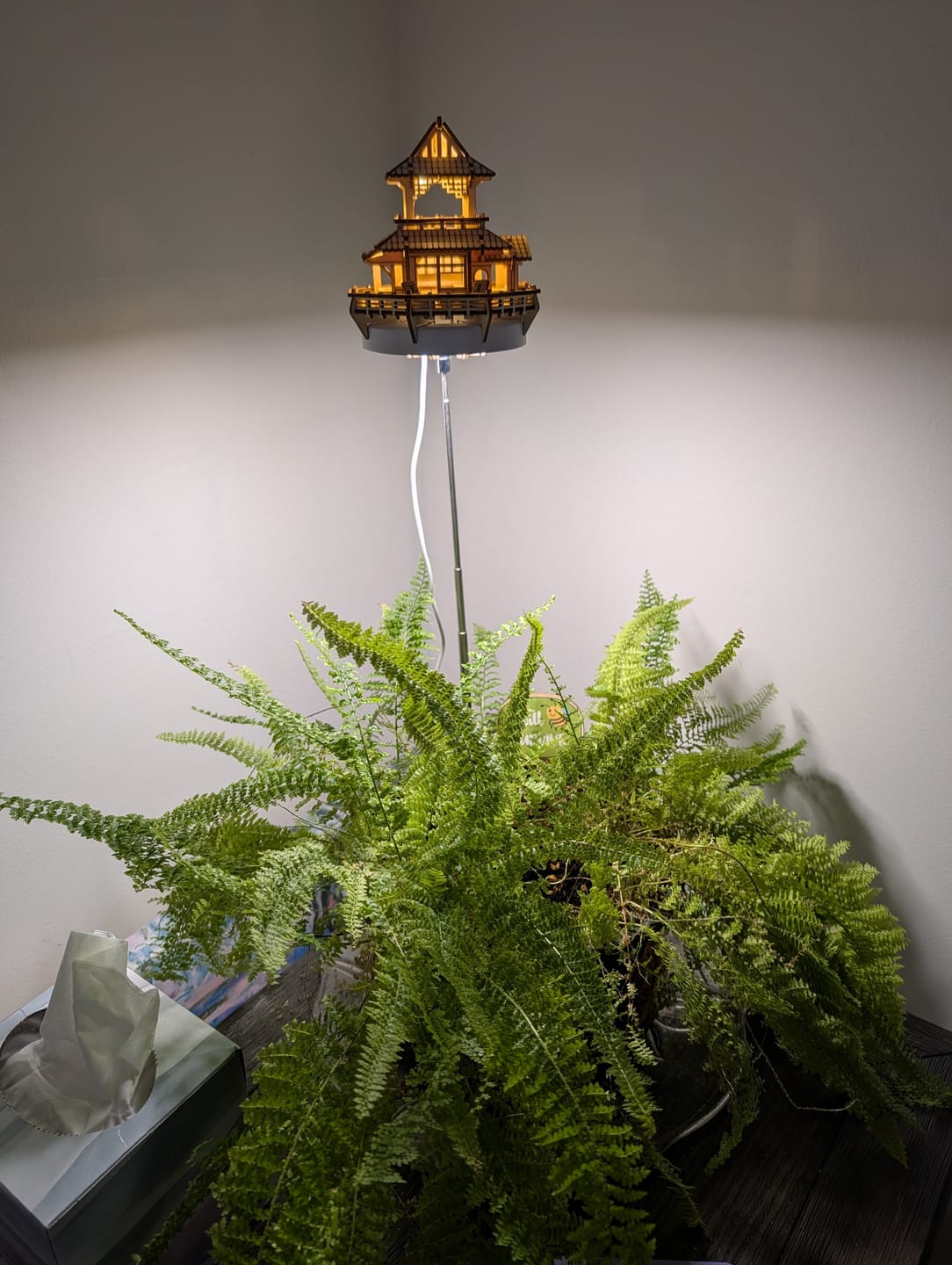 Customer photo review of Sunrise Terrace + Grow Light