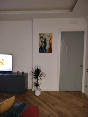 Recensione con foto di un cliente su Anime in Danza