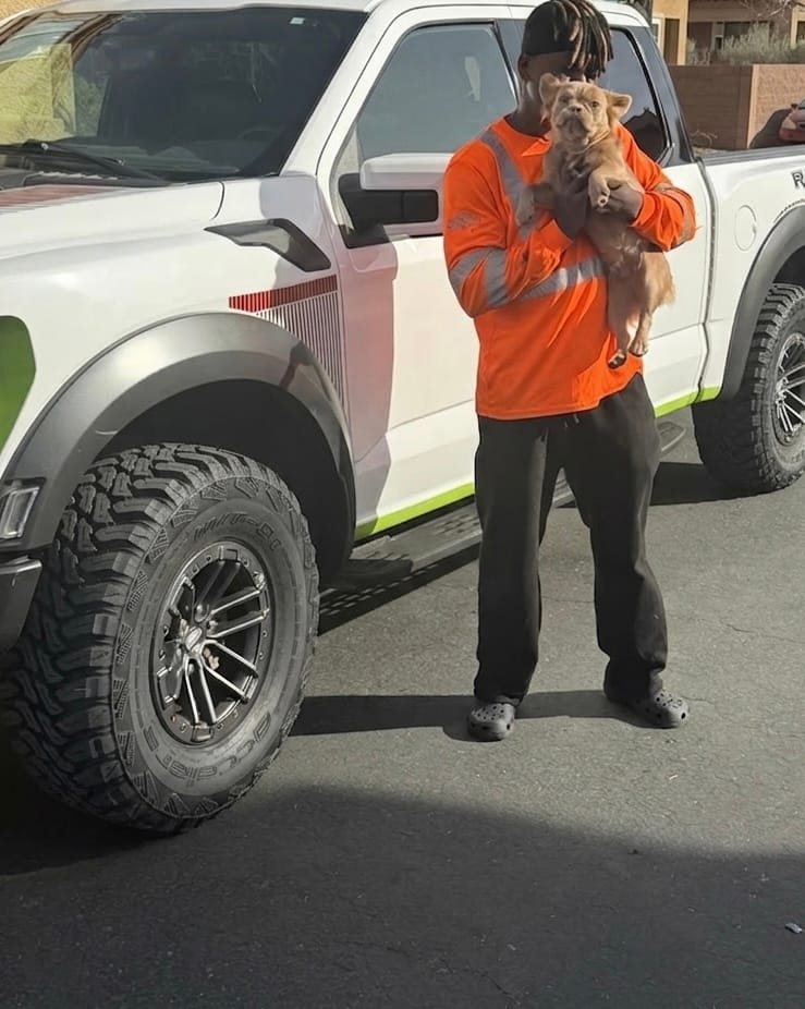 Customer photo review of 2024 F-150 Raptor Bedside Decal Full Set Fits 21-24 - Gradient Fade Strips