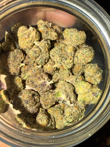 THCA Flower - Cosmic Runtz photo review