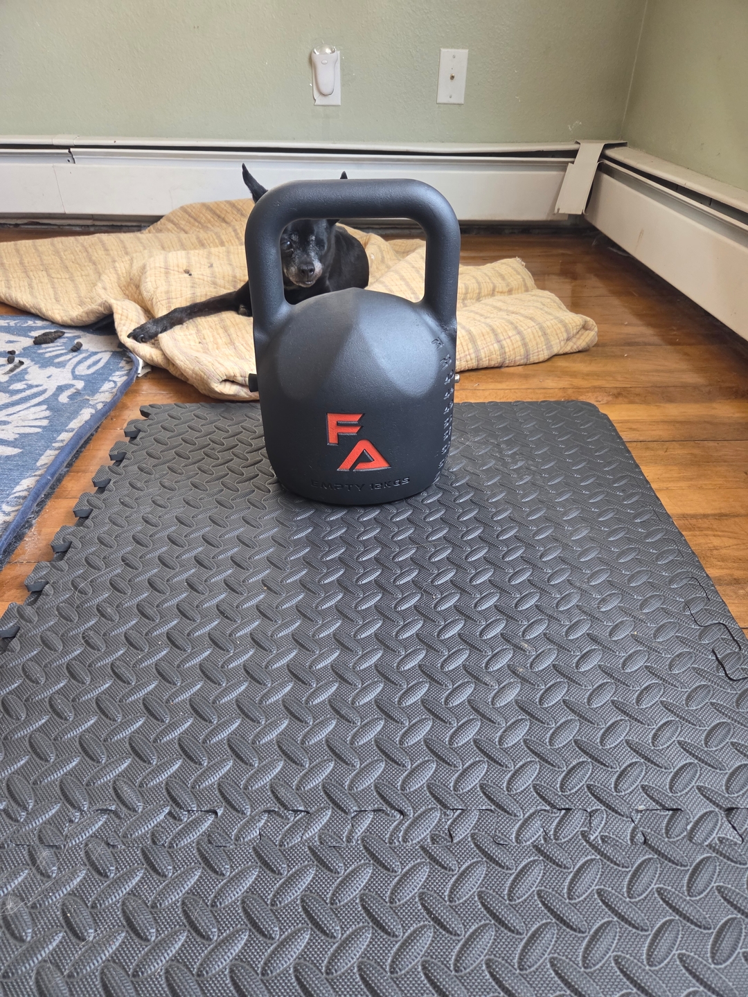 Owner photo of FA Adjustable Kettlebell