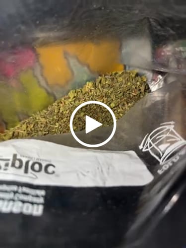Customer video review of Exotic Shake