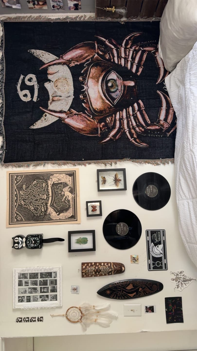 Customer photo review of ZODIAC TAPESTRY