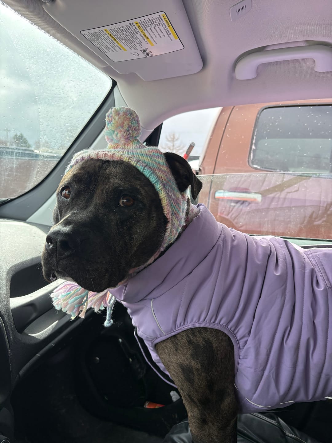 Customer photo review of WarmShield Water-Resistant Jacket - Lilac