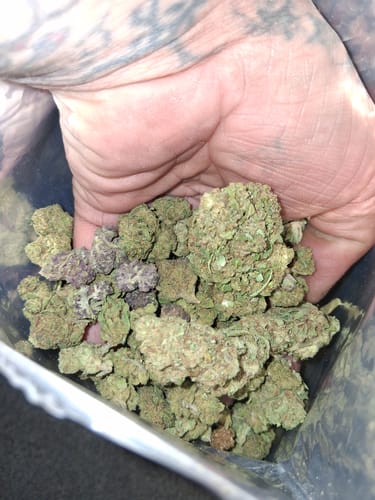 Customer photo review of Light Assist THCA Smalls