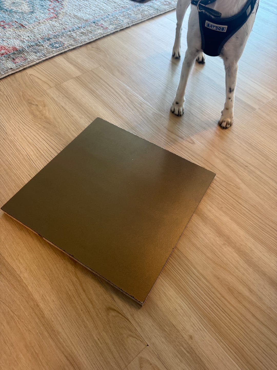 Customer photo review of Metallic Paint