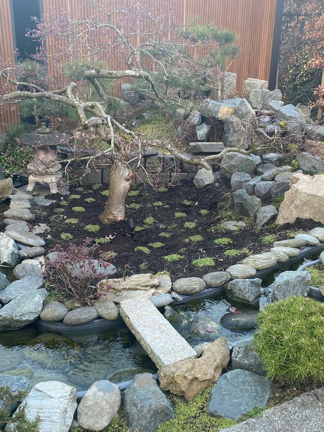Customer photo review of Universeel aanplantgrond voor tuinplanten 1 tot 2 m2 Zak 20 liter - DCM