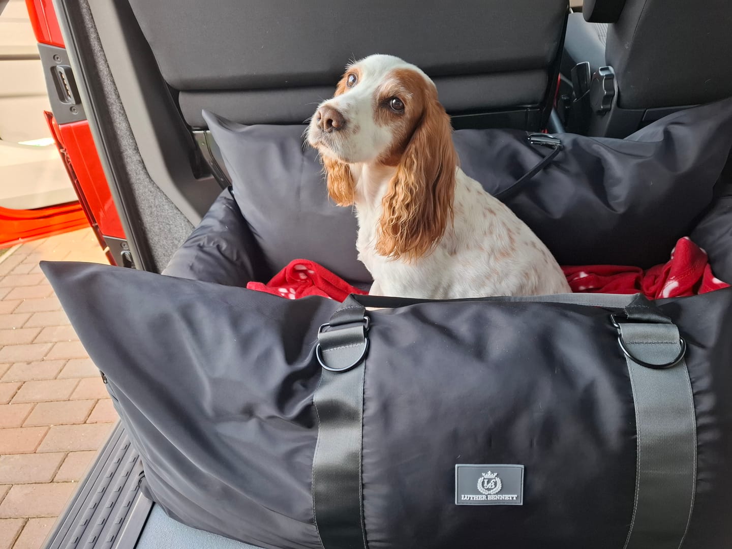 Customer photo review of Travel Dog Pod XL - Now With Isofix