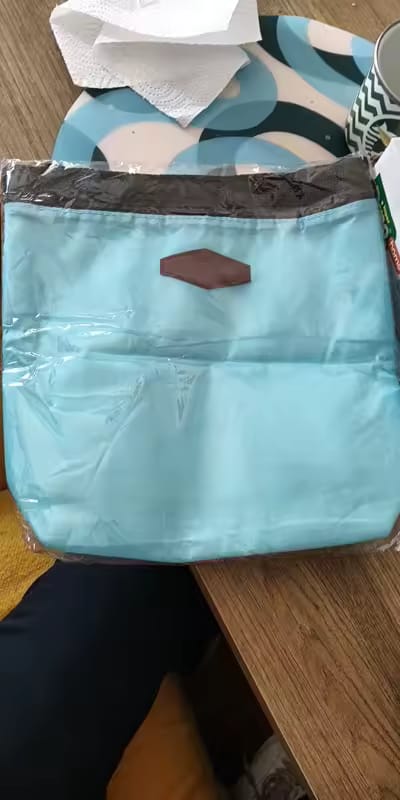 Customer photo review of Insulated Portable Lunch Bag & Food Storage Handbag