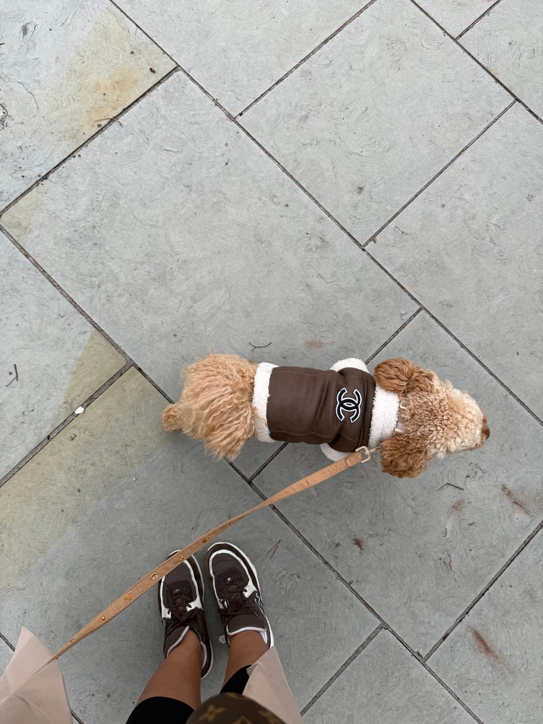 Customer photo review of Designer Vintage Leather Dog Leash