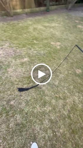 Customer video review of Flirtpole - interaktywna zabawka dla psa