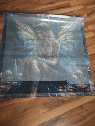 Customer photo review of 5D Diamond Painting –  Schattenfee mit Regenbogenflügeln