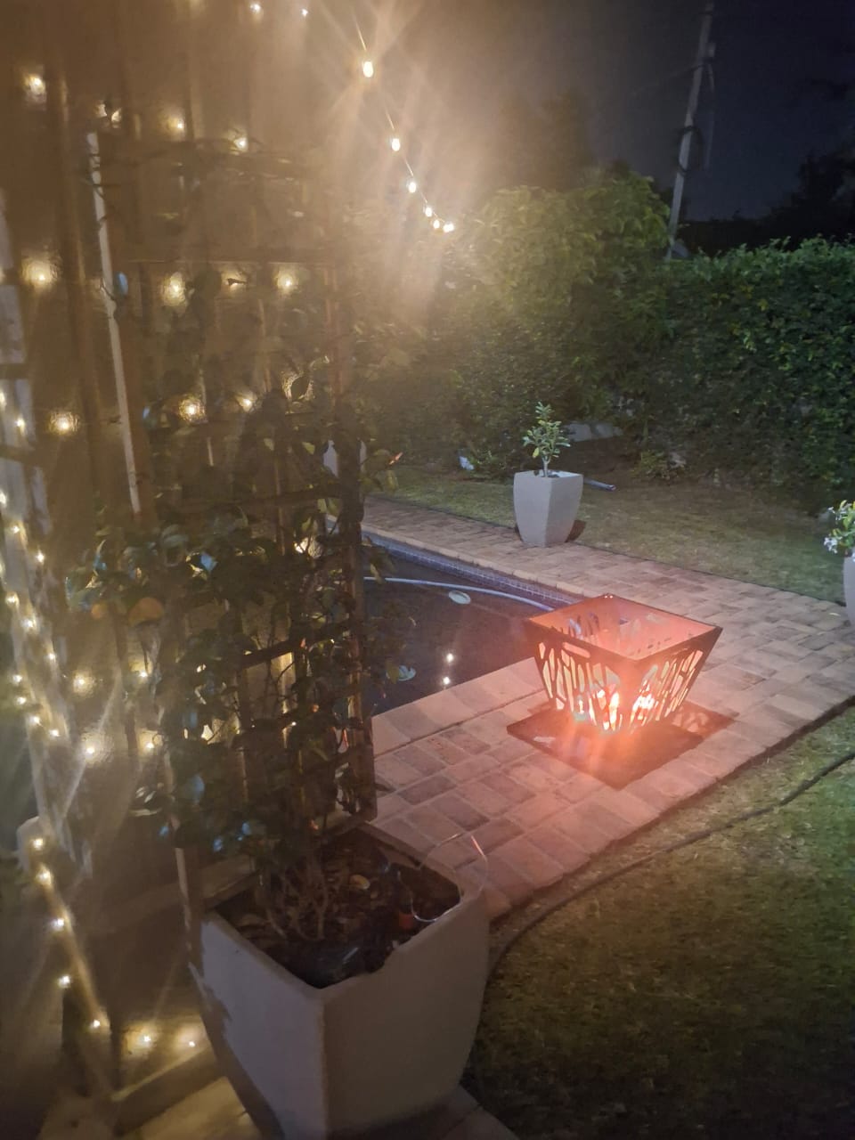 Customer photo review of Copper Wire Solar Fairy Lights