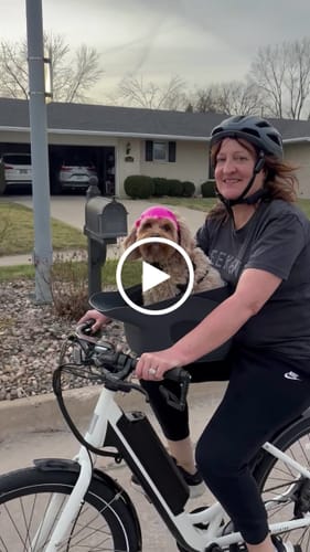 Customer video review of Kvisp Dog Bike Carrier