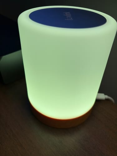 Customer photo review of Friendship Lamp