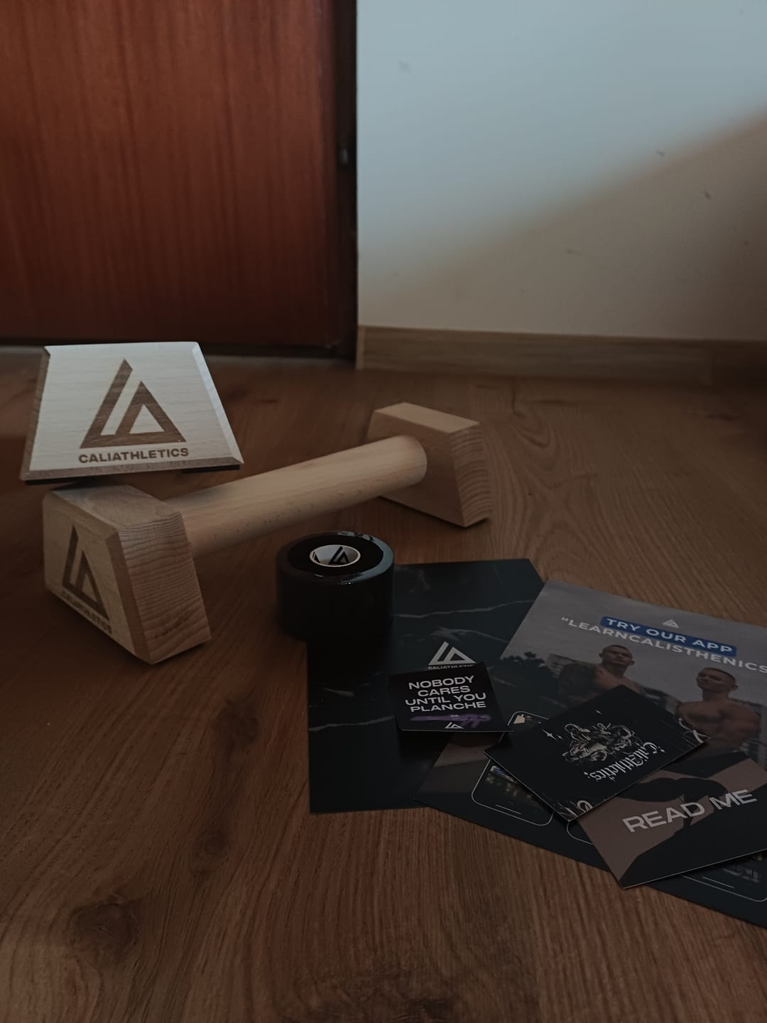 Customer photo review of Wooden Parallettes MINI