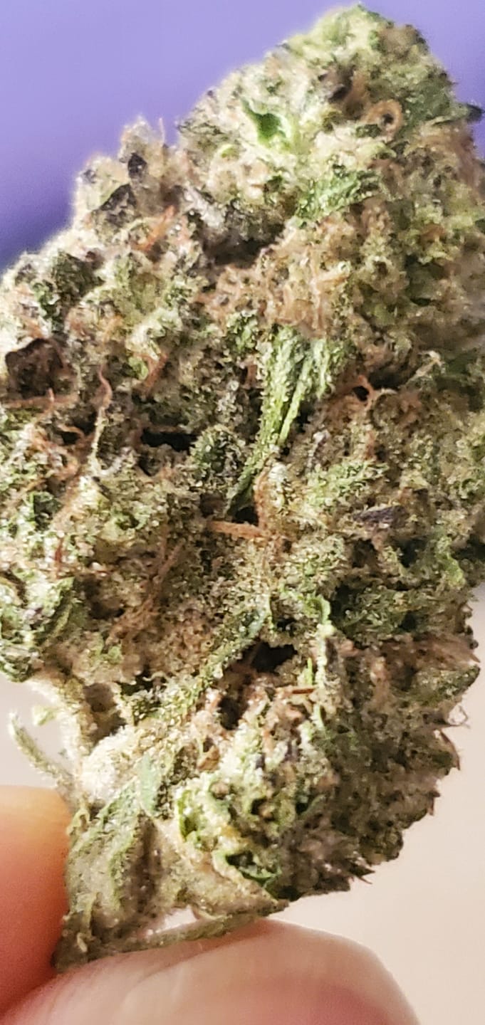 Customer photo review of Berry Gelato - 28 Grams - Indica