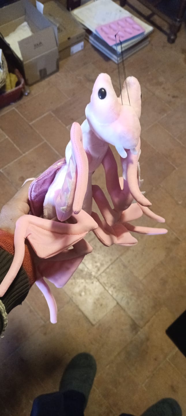 Customer photo review of Pink Orchid Mantis Soft Stuffed Plush Toy