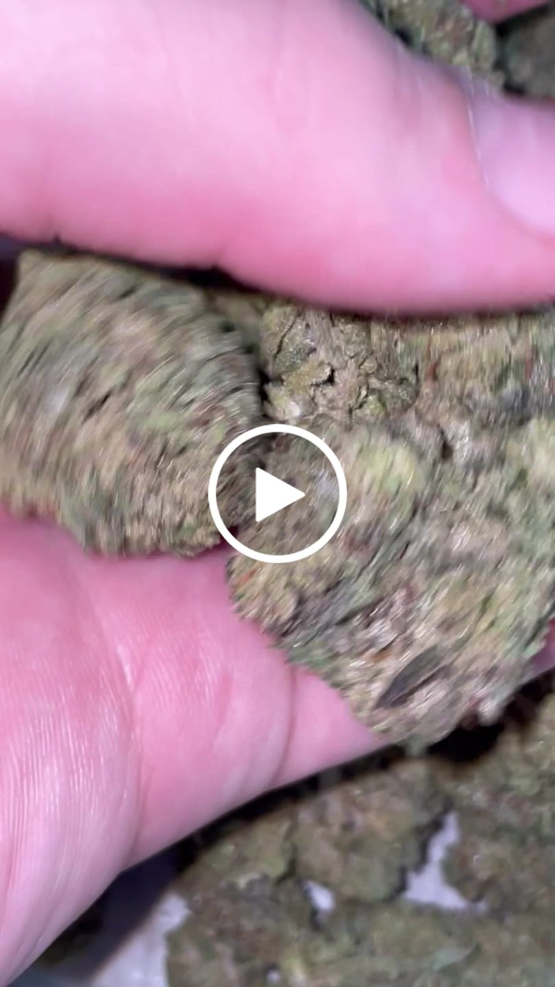 Customer video review of Gary Cherry - Bulk - Indica