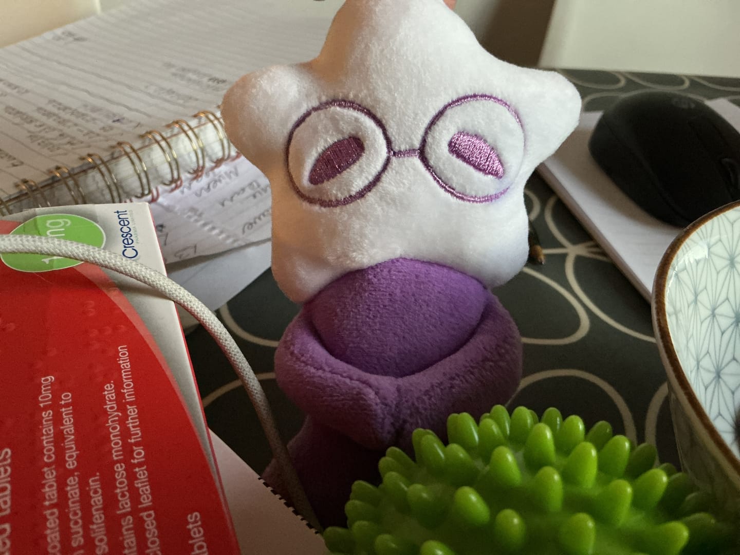 Customer photo review of Adopt a Star Baby Plush Blind Box