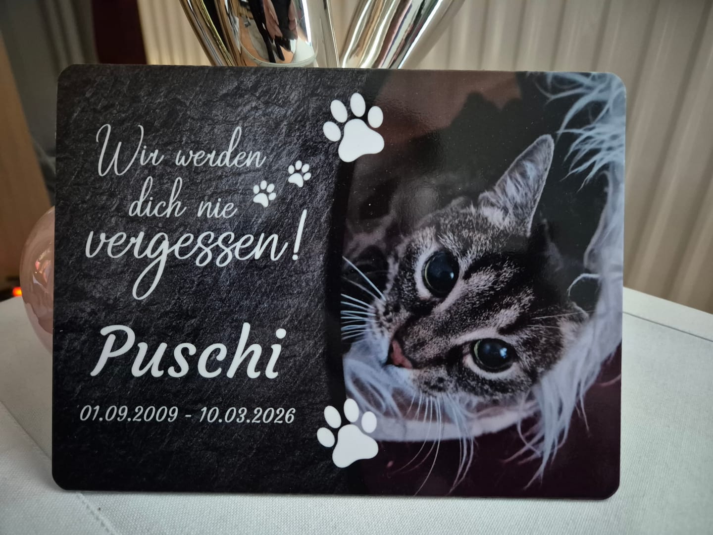 Customer photo review of Katzen Gedenktafel mit Foto & Spruch (UV- & Wetterfest)