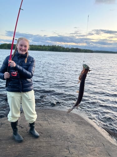 Customer photo review of HyperDraget - Ta vårfisket till nästa nivå