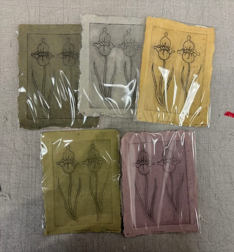 Customer photo review of Odds