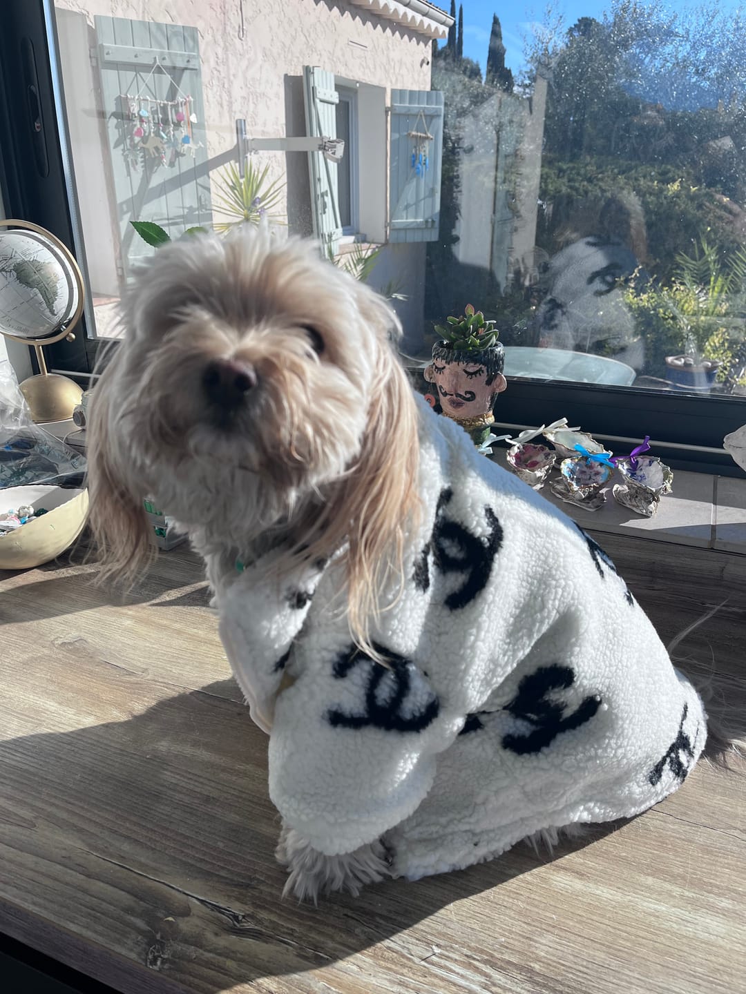 Customer photo review of CHENNA COAT