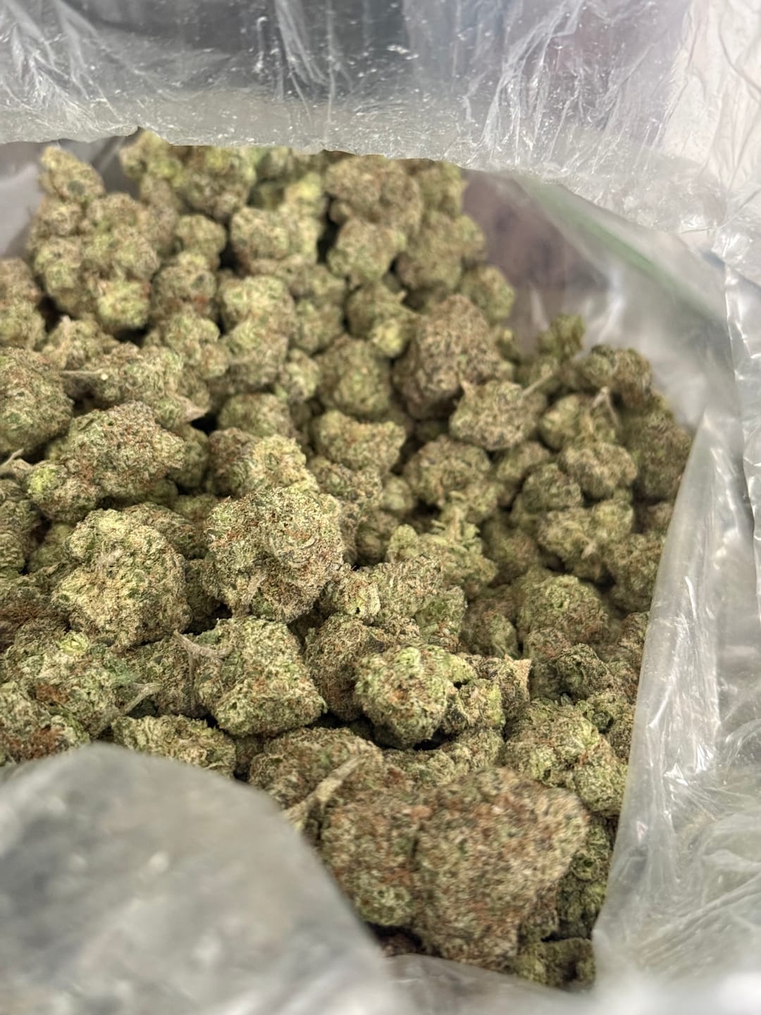 Customer photo review of Gush Mintz Light Assist THCA