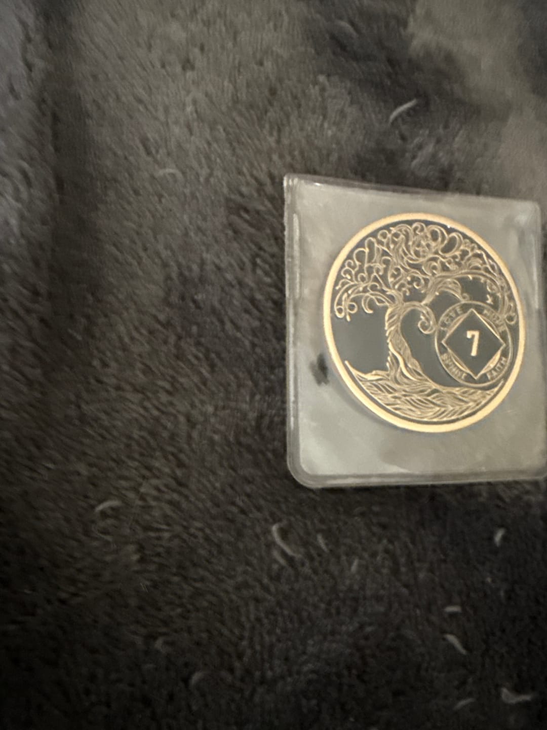 Customer photo review of 1 to 40 Year Sobriety Mint Twisted Tree of Life Gold Plated NA Recovery Medallion/Chip/Coin - Black