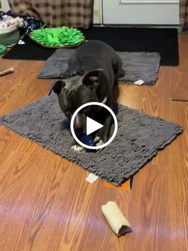 Customer video review of Freezbone