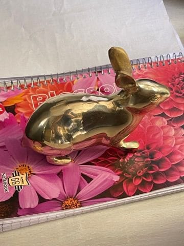 Customer photo review of Golden Rabbit Brass Idol – Auspicious Vastu Remedy for Wealth Attraction & Prosperity | Ideal for North Direction, Office Desk & Home Entrance | 13 x 4.5 x 11.5 cm | 670 g